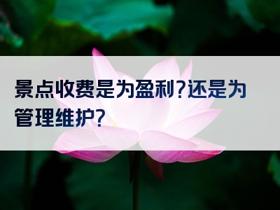 景点收费是为盈利？还是为管理维护？