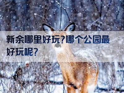 新余哪里好玩？哪个公园最好玩呢？