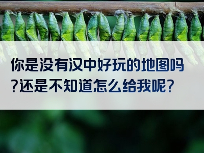 你是没有汉中好玩的地图吗？还是不知道怎么给我呢？