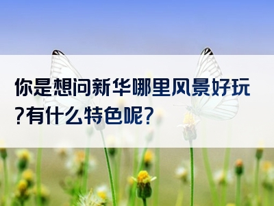 你是想问新华哪里风景好玩？有什么特色呢？