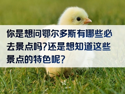 你是想问鄂尔多斯有哪些必去景点吗？还是想知道这些景点的特色呢？
