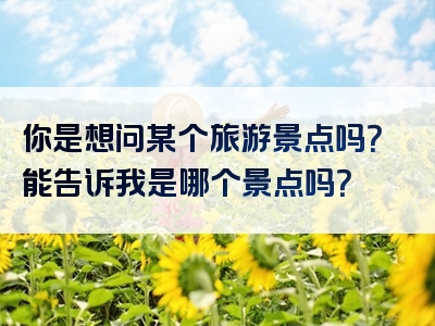 你是想问某个旅游景点吗？能告诉我是哪个景点吗？