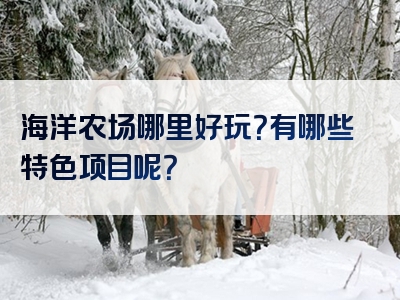 海洋农场哪里好玩？有哪些特色项目呢？