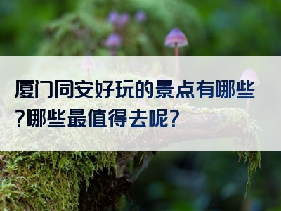 厦门同安好玩的景点有哪些？哪些最值得去呢？