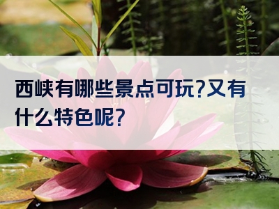 西峡有哪些景点可玩？又有什么特色呢？