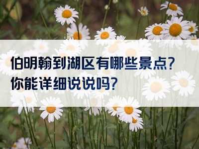 伯明翰到湖区有哪些景点？你能详细说说吗？