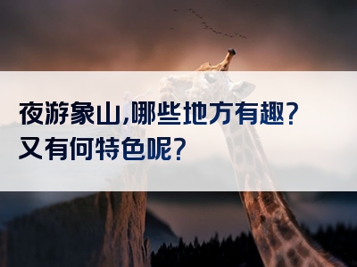 夜游象山，哪些地方有趣？又有何特色呢？