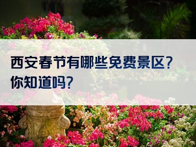 西安春节有哪些免费景区？你知道吗？