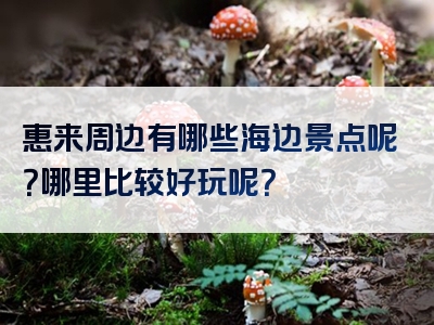 惠来周边有哪些海边景点呢？哪里比较好玩呢？