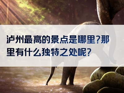 泸州最高的景点是哪里？那里有什么独特之处呢？
