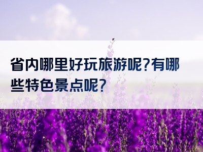 省内哪里好玩旅游呢？有哪些特色景点呢？