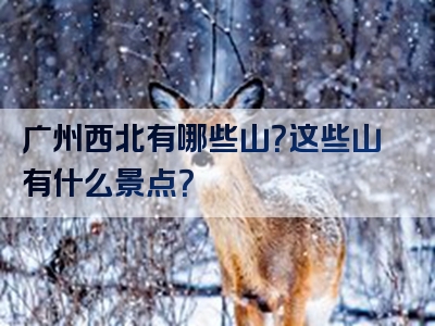 广州西北有哪些山？这些山有什么景点？