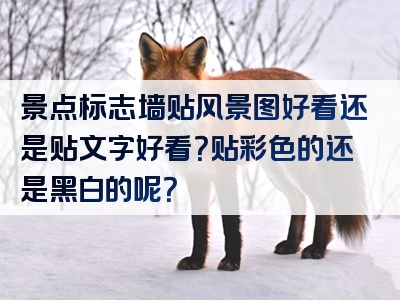 景点标志墙贴风景图好看还是贴文字好看？贴彩色的还是黑白的呢？