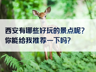 西安有哪些好玩的景点呢？你能给我推荐一下吗？