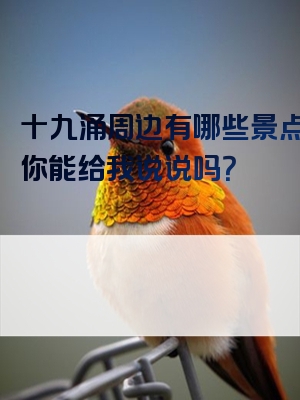 十九涌周边有哪些景点呢？你能给我说说吗？