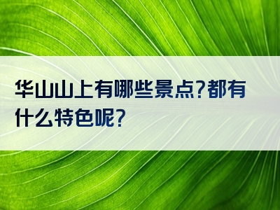 华山山上有哪些景点？都有什么特色呢？