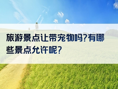 旅游景点让带宠物吗？有哪些景点允许呢？