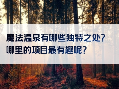魔法温泉有哪些独特之处？哪里的项目最有趣呢？