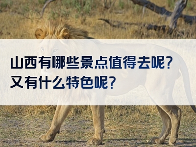 山西有哪些景点值得去呢？又有什么特色呢？