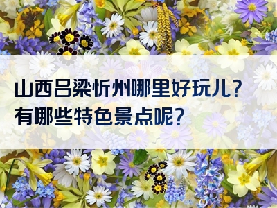 山西吕梁忻州哪里好玩儿？有哪些特色景点呢？