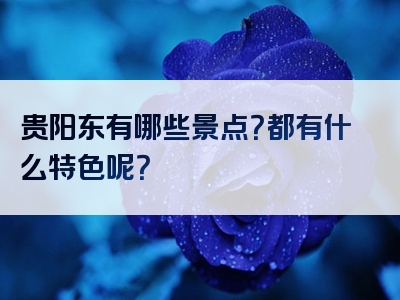 贵阳东有哪些景点？都有什么特色呢？