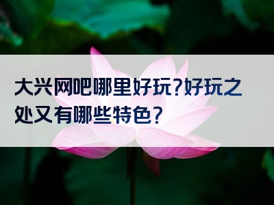 大兴网吧哪里好玩？好玩之处又有哪些特色？
