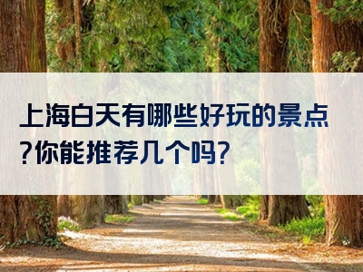 上海白天有哪些好玩的景点？你能推荐几个吗？