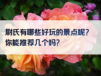 尉氏有哪些好玩的景点呢？你能推荐几个吗？