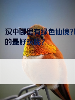 汉中哪里有绿色仙境？哪里的最好玩呢？