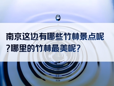 南京这边有哪些竹林景点呢？哪里的竹林最美呢？