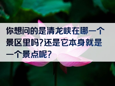 你想问的是清龙峡在哪一个景区里吗？还是它本身就是一个景点呢？