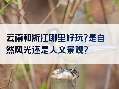 云南和浙江哪里好玩？是自然风光还是人文景观？