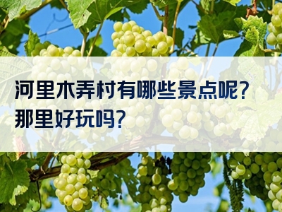 河里木弄村有哪些景点呢？那里好玩吗？
