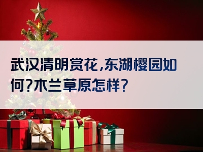 武汉清明赏花，东湖樱园如何？木兰草原怎样？