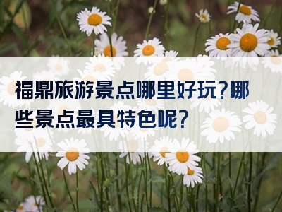 福鼎旅游景点哪里好玩？哪些景点最具特色呢？