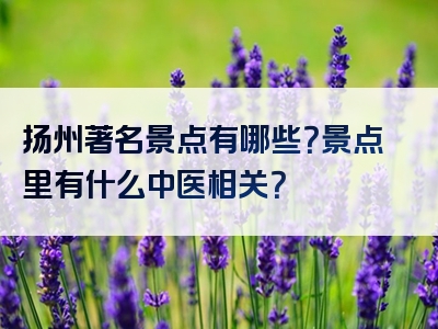 扬州著名景点有哪些？景点里有什么中医相关？