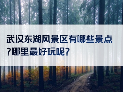 武汉东湖风景区有哪些景点？哪里最好玩呢？