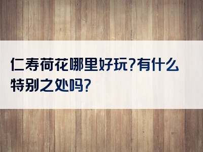 仁寿荷花哪里好玩？有什么特别之处吗？
