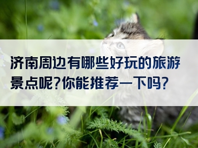 济南周边有哪些好玩的旅游景点呢？你能推荐一下吗？
