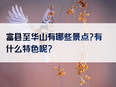 富县至华山有哪些景点？有什么特色呢？