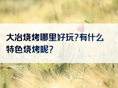 大冶烧烤哪里好玩？有什么特色烧烤呢？