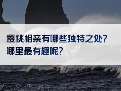 樱桃相亲有哪些独特之处？哪里最有趣呢？