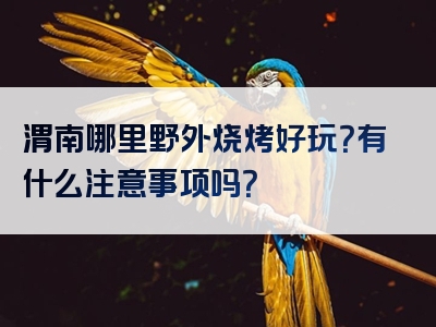 渭南哪里野外烧烤好玩？有什么注意事项吗？