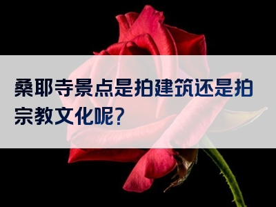桑耶寺景点是拍建筑还是拍宗教文化呢？