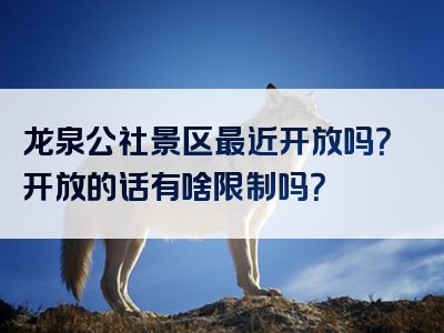 龙泉公社景区最近开放吗？开放的话有啥限制吗？