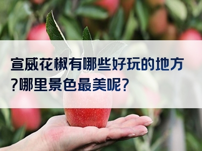 宣威花椒有哪些好玩的地方？哪里景色最美呢？