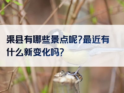 渠县有哪些景点呢？最近有什么新变化吗？
