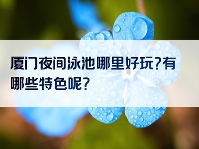 厦门夜间泳池哪里好玩？有哪些特色呢？