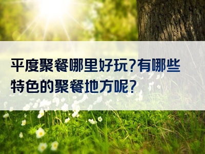 平度聚餐哪里好玩？有哪些特色的聚餐地方呢？