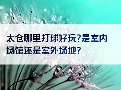 太仓哪里打球好玩？是室内场馆还是室外场地？